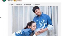 陈思诚最新爆料消息视频,揭秘影视圈幕后真相