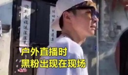 枞阳黑粉爆料事件最新情况,真相与舆论的较量”