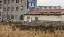 爆料龙口违建案件最新情况,多栋违建被依法拆除，调查深入进行中