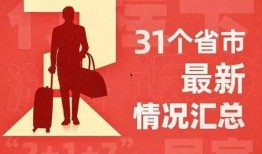 风花节最新爆料新闻内容,幕后故事与精彩瞬间大曝光
