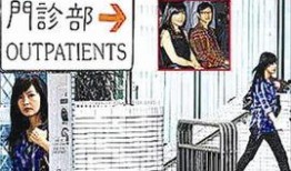龙宝宝爆料最新版,揭秘神秘版本背后的惊喜与变革