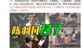 四美废案最新爆料视频,最新爆料视频深度解析