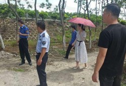 美丽田园爆料最新消息,揭秘行业新动态，带你走进田园新篇章