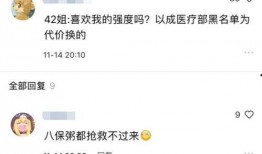 骚猪原神最新爆料消息,骚猪最新爆料，神秘角色与全新元素即将揭晓！