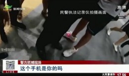 捕盗行动最新版爆料,揭秘最新版神秘爆料，惊心动魄的盗贼追踪大揭秘