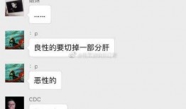 骚猪原神最新爆料消息,骚猪最新爆料，神秘角色与全新元素即将揭晓！