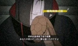 最新爆料蛇叔视频播放网站,最新爆料带你一探究竟