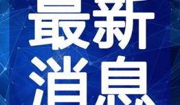 菏泽饭店爆料视频大全最新,揭秘餐饮行业幕后真相